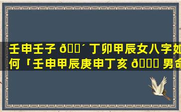 壬申壬子 🐴 丁卯甲辰女八字如何「壬申甲辰庚申丁亥 🍁 男命看八字」